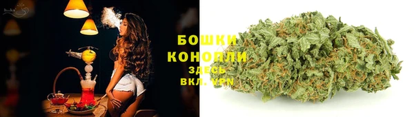 тгк Волосово